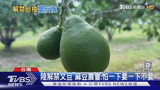 陸解禁文旦 麻豆農會:怕一下要一下不要｜TVBS新聞 @TVBSNEWS01