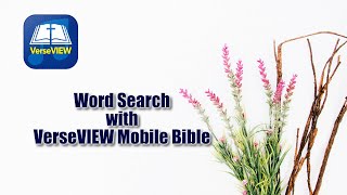 Bible Word Search using VerseVIEW Mobile Bible (for Android) screenshot 2