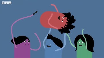 Managing your emotions – BBC Bitesize Key Stage 3 Learning for Life and Work