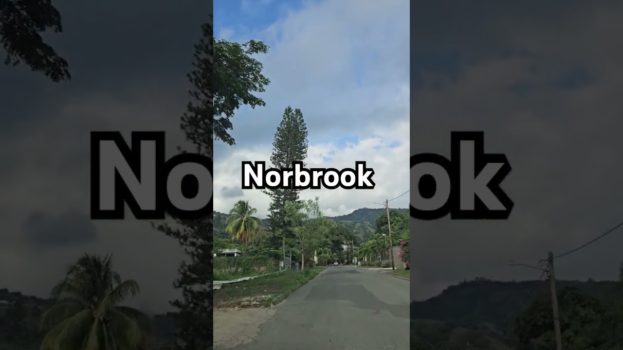 Expensive Jamaican Neighborhoods