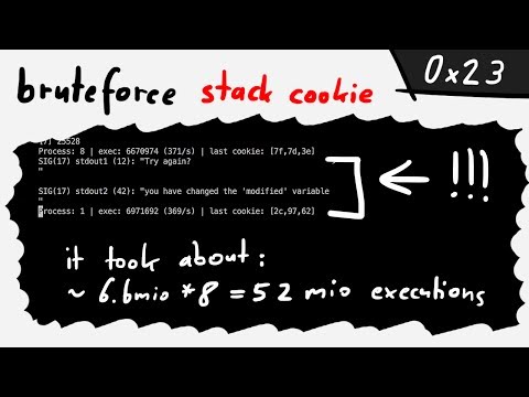 Bruteforce 32bit Stack Cookie. stack0: part 3 - bin 0x23