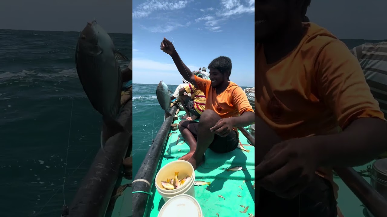 ￼ #fishing videos#🦈🐠🦑###🐬🐠🦐