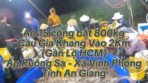 Ao 10 công bắt 800kg tôm càng Cầu Gia Khang vào 2Km (gần lộ HCM) Ruộng Sạ - Vĩnh Phong - An Giang