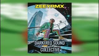 ZEEY™RMX  - CHACHA - DANSA SILVA