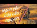 Ngàn yên của cầu nguyện | Sennen no inori - Himekami || TIKTOK