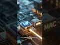 IP y MAC: el error que te identifica en Internet