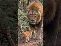 “Tiny Cat vs Lion 🦁🐱 | Brave Heart Wins! (Inspirational Short Story)” #shorts