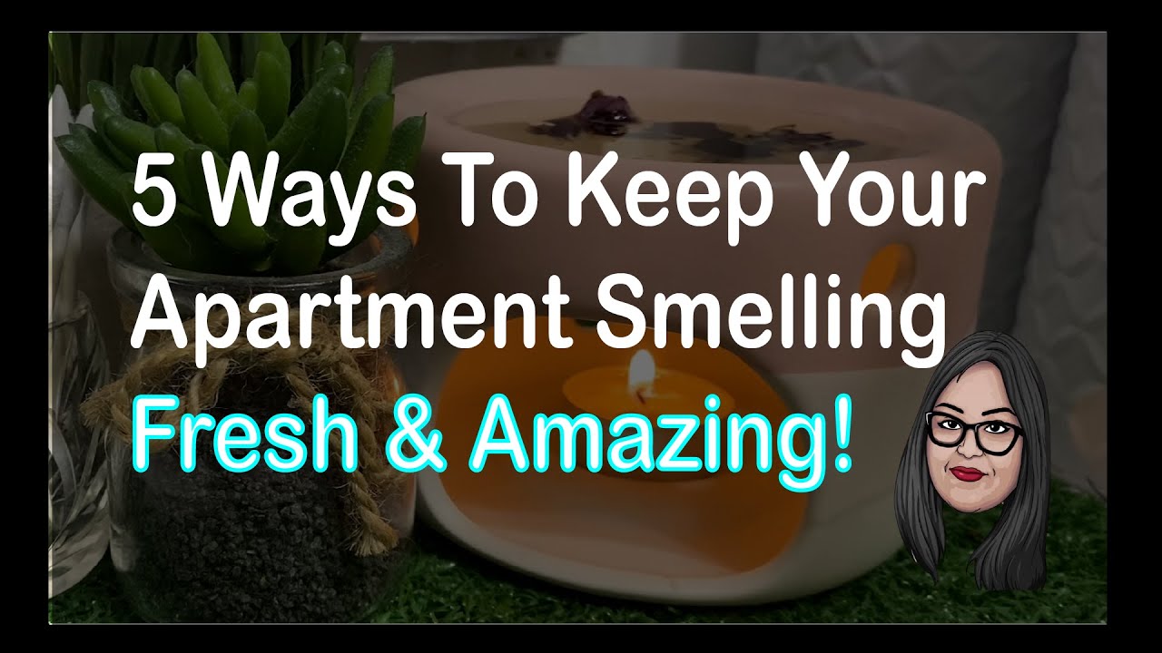 5 Ways To Keep Your Apartment Smelling Fresh Amazing I Thebrownfeminist I Home Fragrances Youtube