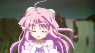 屋外用の秋の草花 - プリムラ・オブコニカ