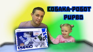 Собака-робот Pupbo Silverlit | СаШкА ПромоКашка и Папа распаковывают собаку Папбо | Unboxing Pupbo