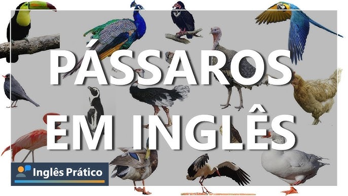 Aprenda o nome de 25 brincadeiras infantis em inglês