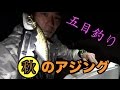 秋のアジングでお魚５種目を狙え！