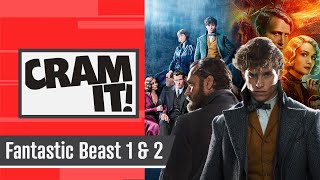 The COMPLETE Fantastic Beasts Recap | CRAM IT!