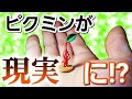 【コマ撮り】もし目の前にピクミンがいたら…【ピクミン3デラックス 発売記念】