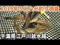ハゼ釣り 5月の江戸川放水路でハゼ調査!エサ釣り、ハゼクラで釣れるかな?