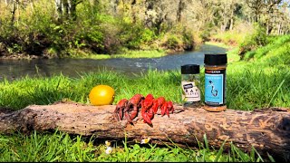 Relaxing CRAWDAD Catch and Cook in Beautiful Forest River