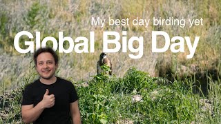 My First Ever Birding Global Big Day was EPIC