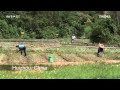 Produire Bio - Un Business Comme Les Autres?