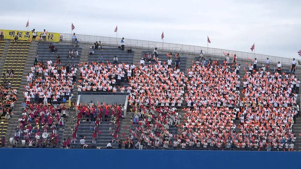 明桜「タイガーラグ」150720