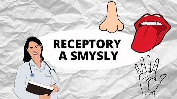 Jak se skládají sluchové receptory?