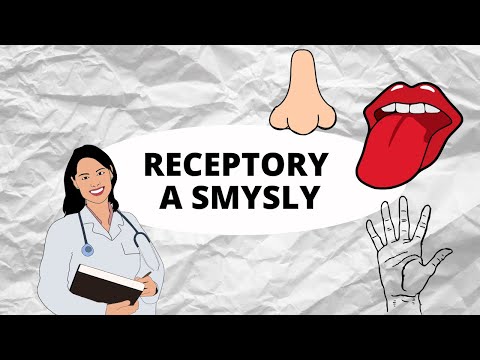 Video: Kde jsou čichové receptory?