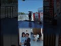 Yulong &amp;miemie