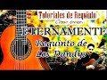 ETERNAMENTE  Requinto COMPLETO de Los Dandys - cómo tocar el requinto de Eternamente - tutorial