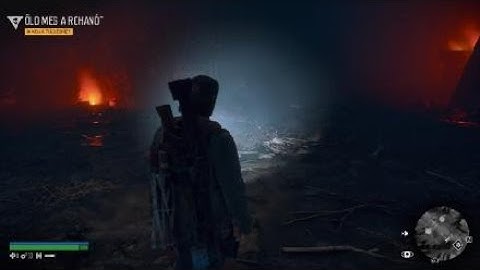 DAYS GONE PS4 BUG ( Does not come Reacher )