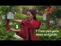 4 Tips para ahorrar dinero en el jardín + truco para gastar menos | Jardín Diaz