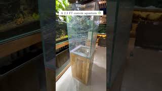 Custom Tower Aquarium | 2.5ft Tall Fish tank (30"x18"x18") in Pune