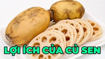 Lợi ích dinh dưỡng tuyệt vời của củ sen - Kênh Hướng Dẫn