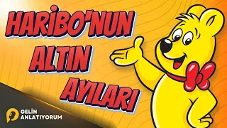Haribonun Tatlı Yolculuğu 🐻