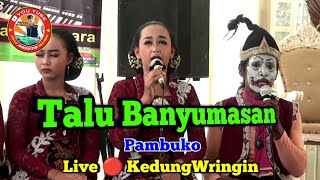 Talu Banyumasan || Pambuko || New Arista Music || Banjarnegara || Live 🔴 KedungWringin