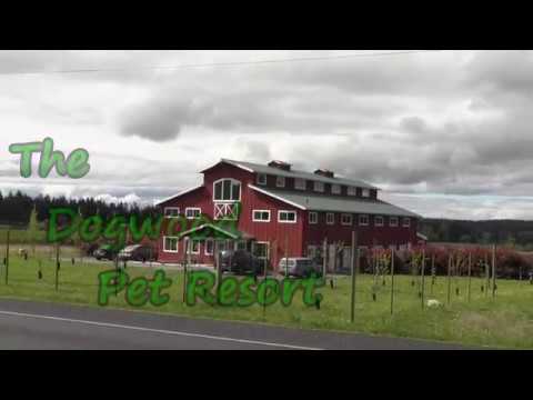 The Dogwood Pet Resort on Whidbey Island, 98277 Oak Harbor 360-675-4483