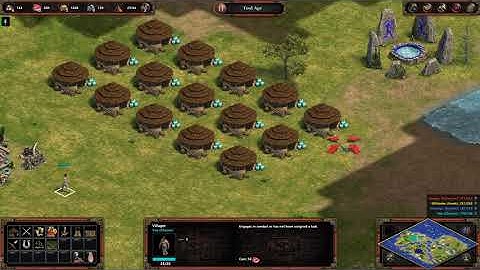 Age of Empires Definitive Edition on random map