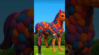 The mascot vibrato assistant placed on the football field is popular, co-produced, creative