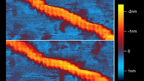 Webinar:  Getting Started with AFM in Biology -- It's Easier Than You Think