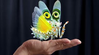 5 most beautiful Insects You wish to Pet | Most beautiful insects of the world | Leader Animals