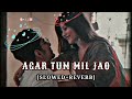 Agar Tum Mil Jao [Slowed+Reverb] | Shreya Ghoshal | Zeher | Hindi Lofi | MUSIC STORE | #slowed #lofi Mp3 Song