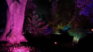 DSCF1383