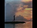 كتبتلي سنين هاني شاكر
