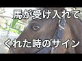 馬のボディーランゲージ　受容のモグペロ【乗馬・馬術】Good body language accept of horse【HorseCommunicationJapan】