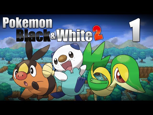 More info for Black and White 2!