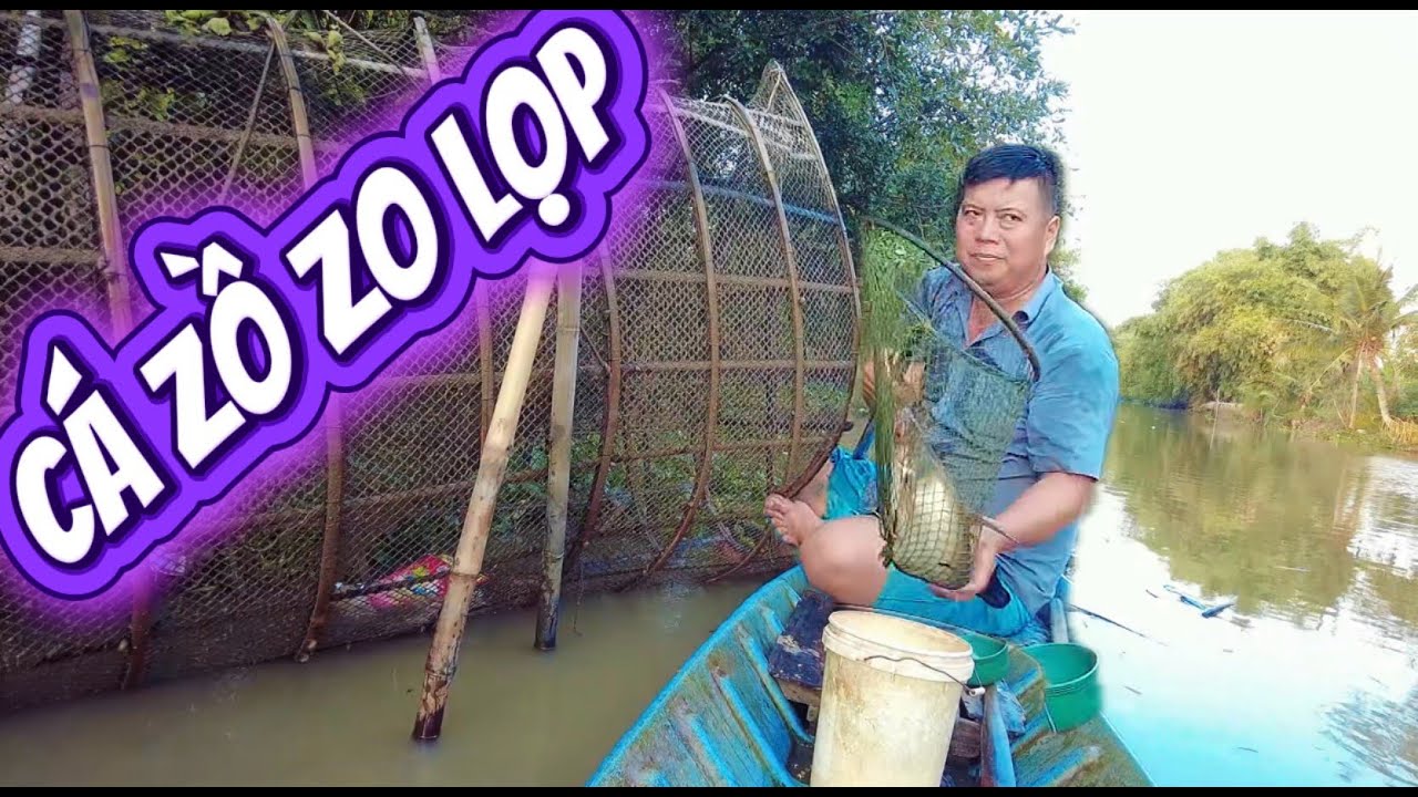 Thăm Lọp Sông Quê – Dính Cá Dồ To Nhìn Mê Thiệt