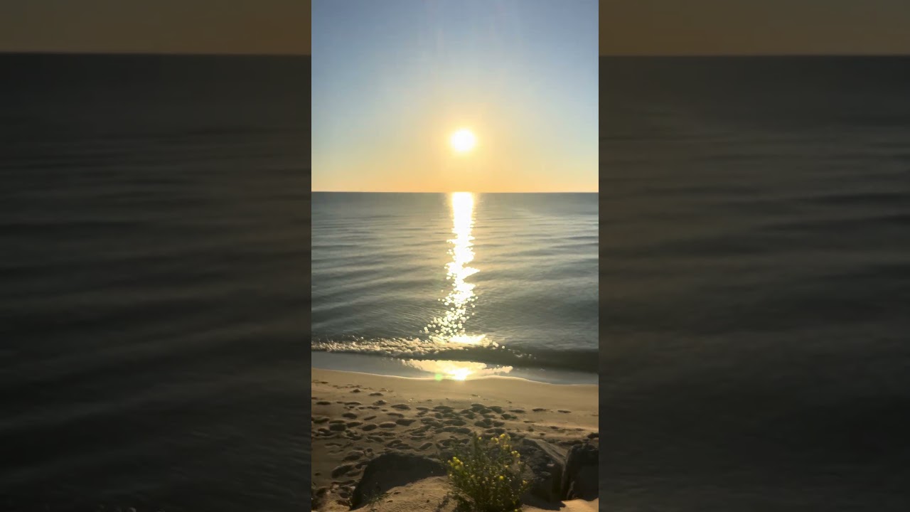 Waves, vibes, and sunshine 🏖️ 