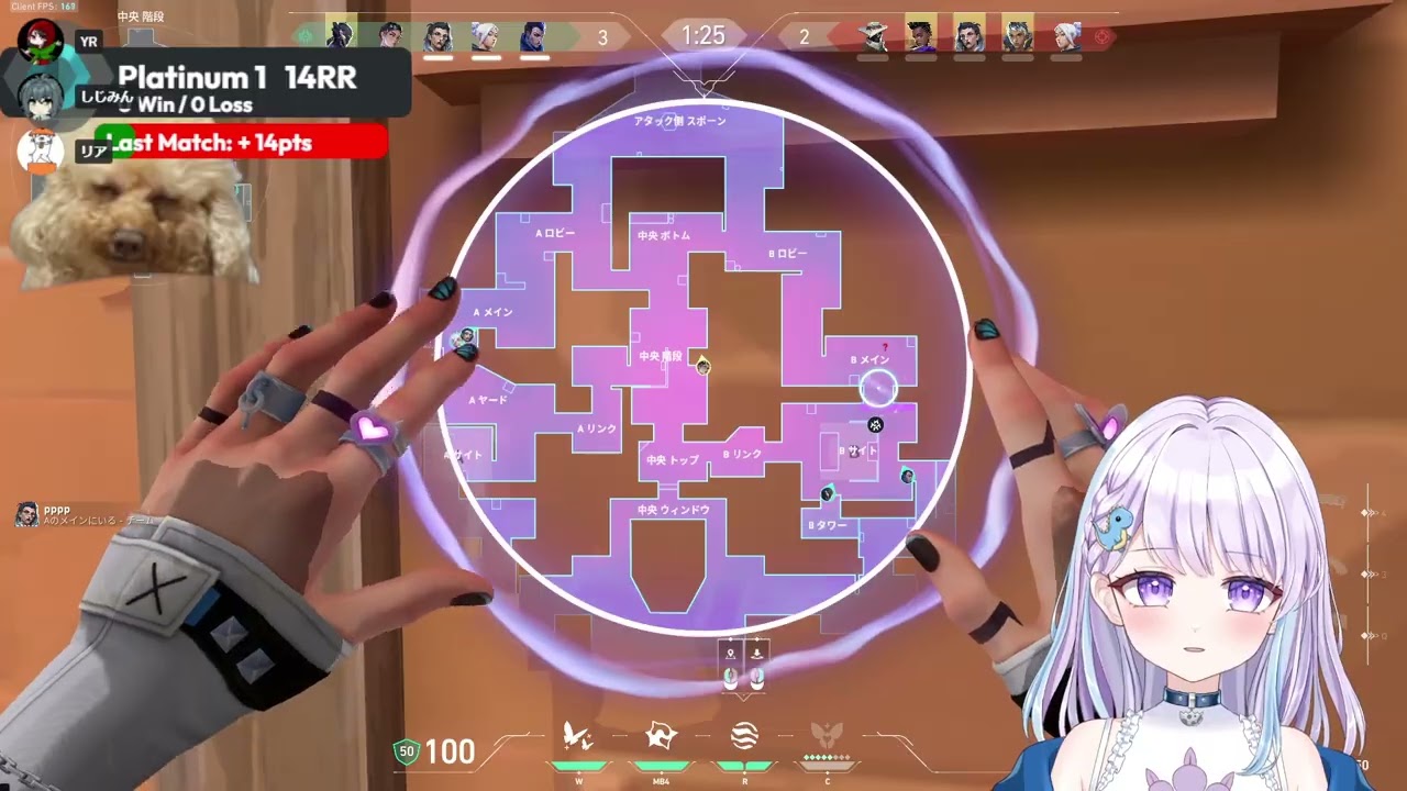 【VALO】タルコフエラーで開けないからソロVALO