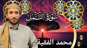 تلاوة خاشعة ومؤثرة للشيخ محمد الفقية | سورة  كاملة بجودة عالية HD