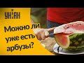 Стоит ли покупать арбузы уже сейчас и как правильно их выбирать