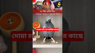 Sharik Pakhi prays for two-year-old child trapped 40 feet underground #talkingbirds #shalikpakhi
