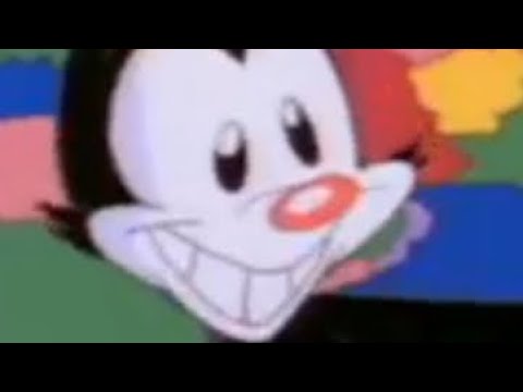 download yakko download yakko